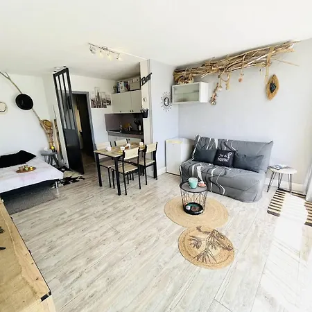 Cap D'agde Naturisme Cn060-e50 דירה